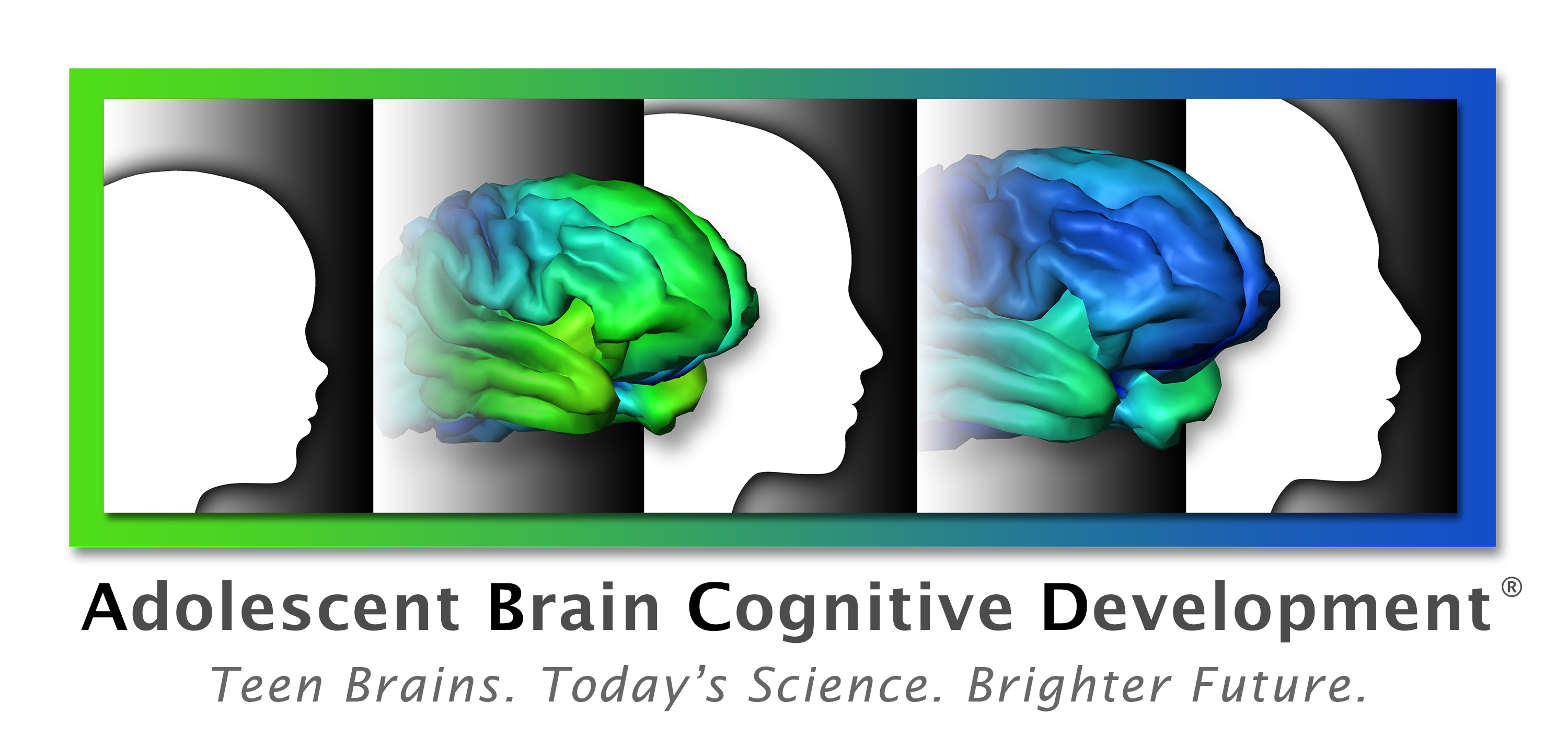 The Adolescent Brain Cognitive Development ABCD Study